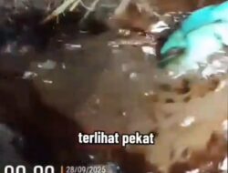 Hari Sungai Sedunia, Limbah PT Vale Cemari Sungai dan Danau Sumber Kehidupan di Towuti