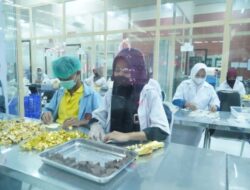 Kampung Coklat Blitar Jadi Contoh Pengembangan Potensi Kakao Berbasis Wisata di Luwu Timur
