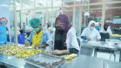 Kampung Coklat Blitar Jadi Contoh Pengembangan Potensi Kakao Berbasis Wisata di Luwu Timur
