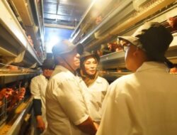 Peternakan Ayam Terbesar di Blitar Jadi Tempat Belajar Rombongan Pandu Juara Lutim