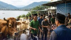 Antusiasme Warga Towuti Berqurban Luar Biasa, Hewan Qurban Capai 603 Ekor